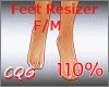 CG: Foot Scaler 110% F/M
