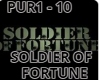 SOLDIER OF FORTUNE