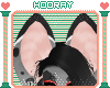[H!] Twin Ears V.1