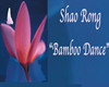 BAMBOO DANCE - SHAO RONG