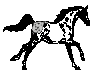 Animated Horse 25