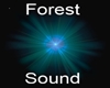 Forest sound