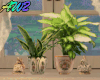 PlantsForWindow2 Enh