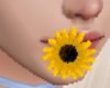 𝕰𝕻 sunflower -F-