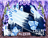 ⟡ Snöw Paws