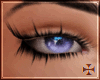 ✠Scarla Darling Lashes