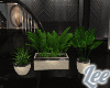 Cooper~PlantsV3