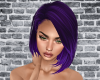 ⓝBrandy_Purple