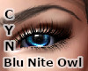 Blu Nite Owl