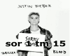 Justin bieber - sorry