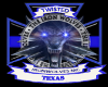 twI Texas Banner