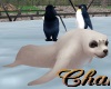 Cha`Zoo Animated Seal