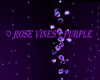 ♡ Rose Vines | Purple