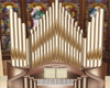 Wedding Organ + Radio