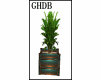 GHDB  Coral/Mint Planter
