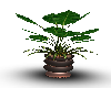 plant pot brown & copper