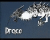 Draco Dragon M/F