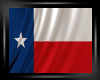 Texas Flag Framed