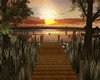 Dockside Sunset