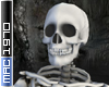 Skeleton Avi 2024