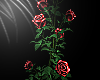 Insatiable Rose Vase