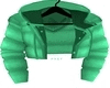 Snow Green Jacket