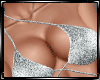 Maria  Silver Bikini Set