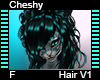 Cheshy Hair F V1