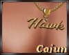 Hawk Necklace