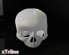{T} white Skull