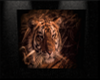 [TG] tigrE frAm3