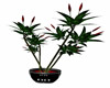 RH Derivable Potted tree