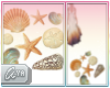 * Sea Shells 2