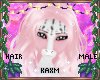 ꨄBlossom Hairꨄ