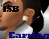 [iSB] Bling earings BIG
