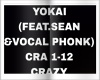 YOKAI (feat.SEAN &VOCAL)