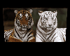 TigerAnimatedPictures