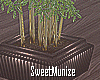 [SM]Plant Deco!