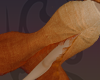 ☼ Terracotta Flow