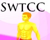 SwtCC Rave Light Effects