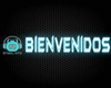 Bienvenidos Steel Hits
