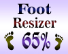 Foot Resizer Scaler 65%