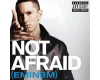 Eminem Not Afraid *NEW