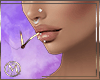 ℳ▸Arian Match