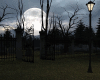 Moon in Cemetery