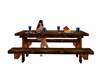 CHG]Animated PicnicTable