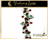 Red Roses Plants
