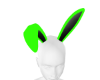 neon green/black bunny