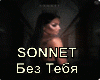SONNET-Bez Tebya