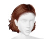 Corbie v2